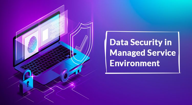 Data Security in Managed Service Environment