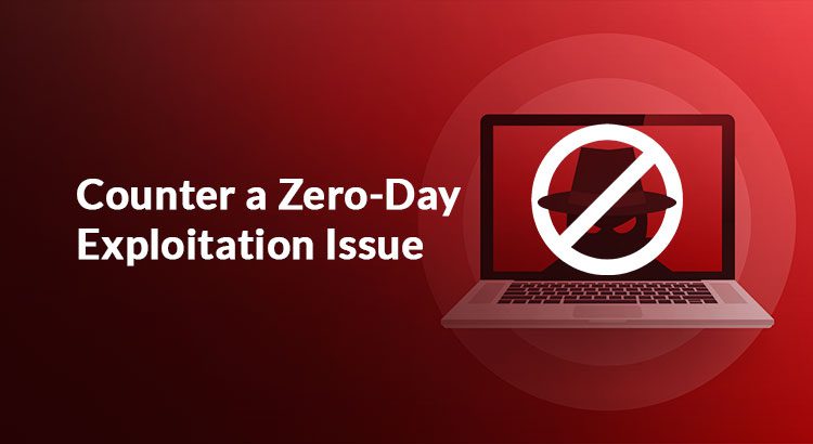 Zero-Day Exploit vs. Zero-Day Vulnerability